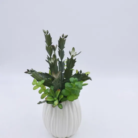 Plantes artificielles en pot en plastique, Simulation colorée, plantes succulentes, bonsaï pour décoration de Table